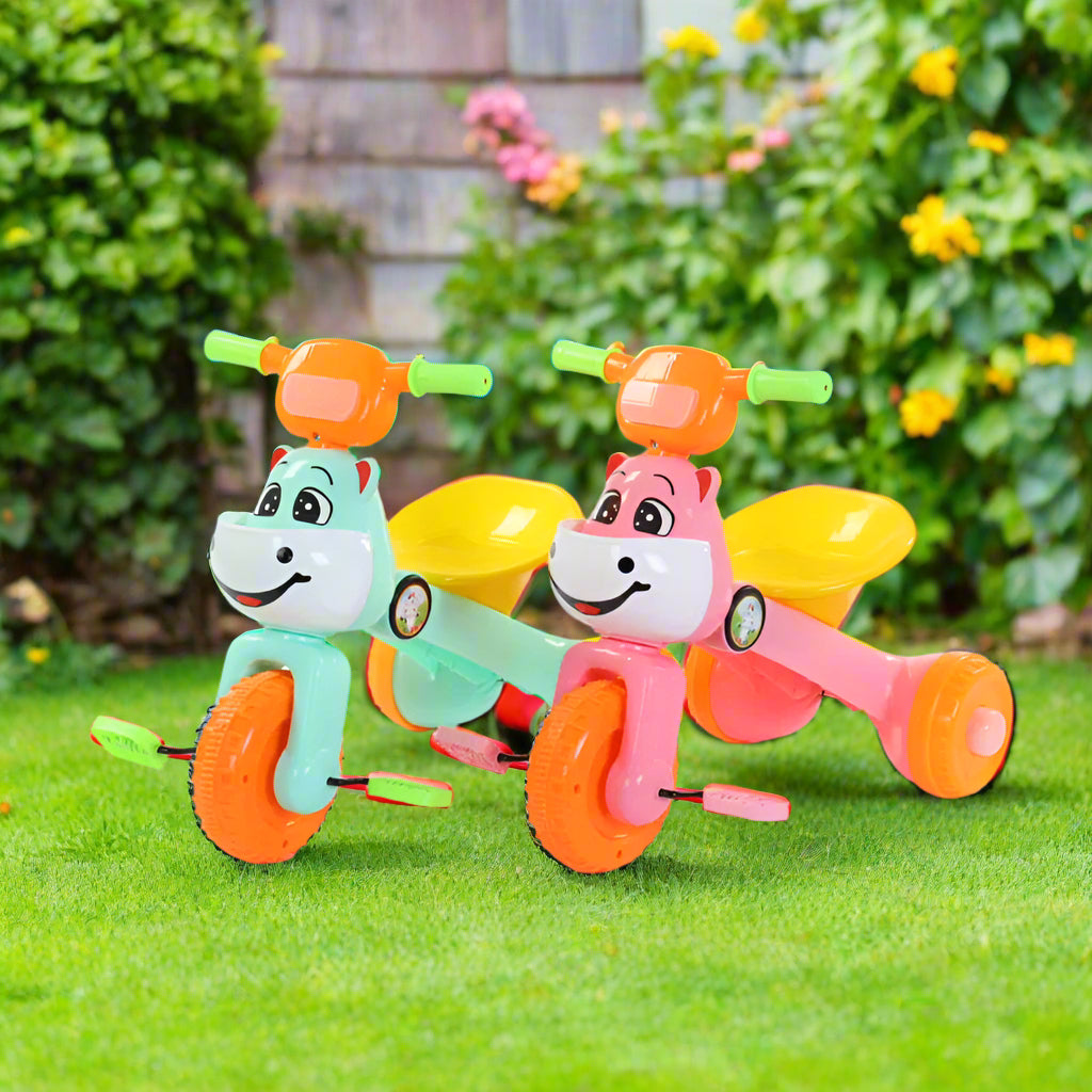 RIDE ON TRICYCLE
