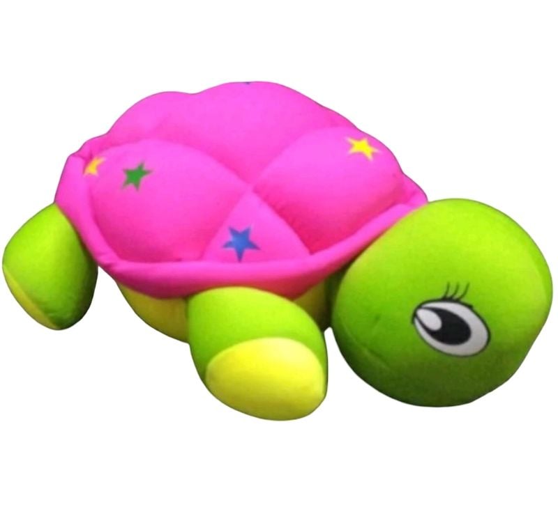 (BS11) Bean-Turtle 33Cm
